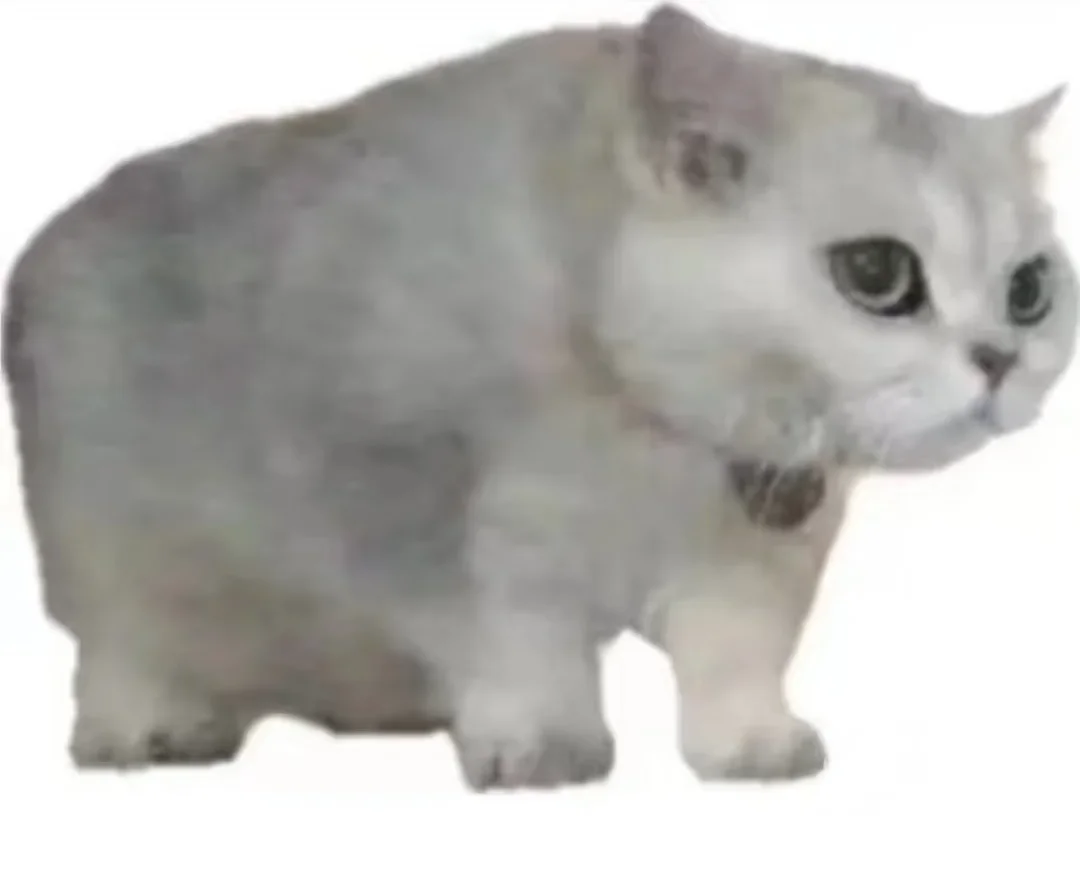 推荐一个免费看剧软件