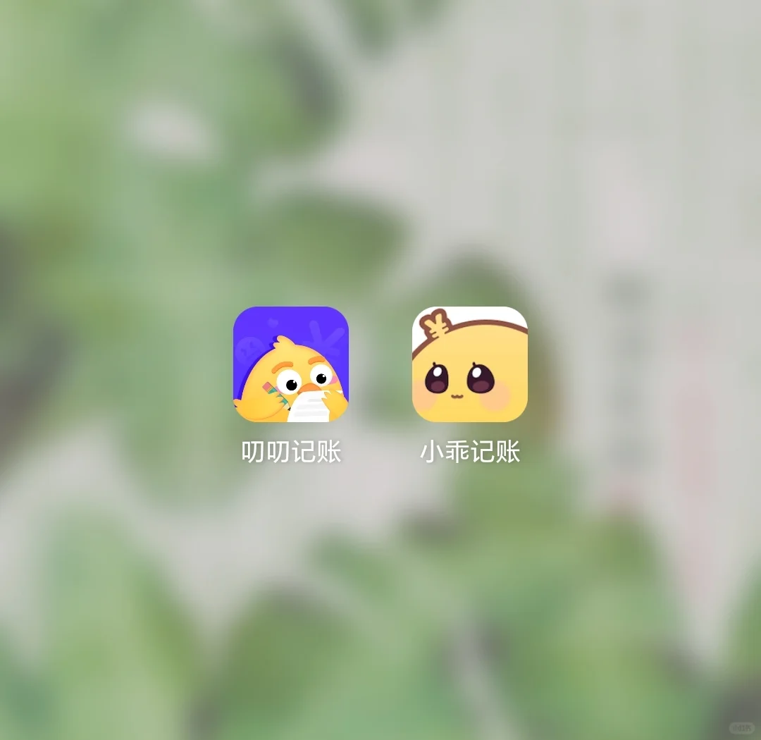 用霸道总裁方式打开记账APP～