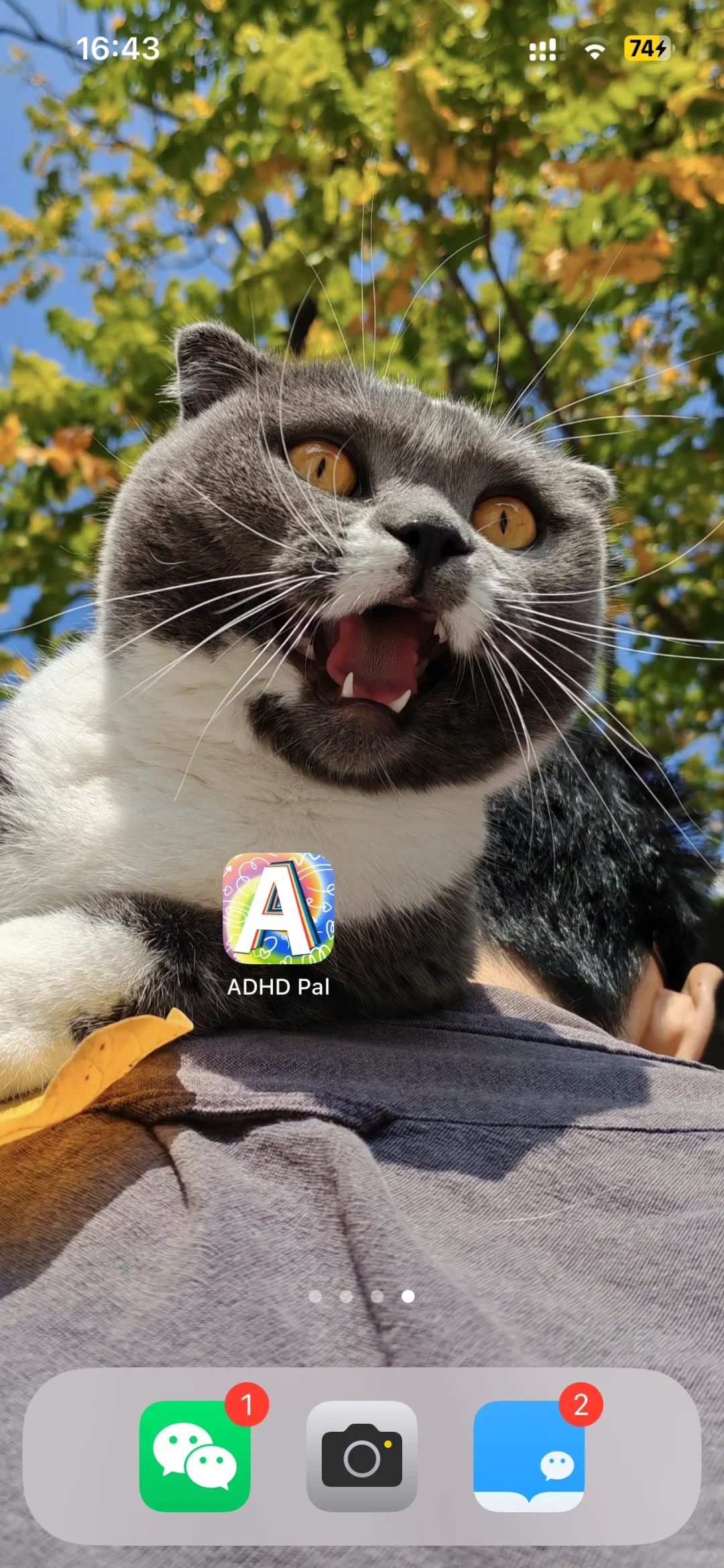 ADHD Pal 安卓上线！