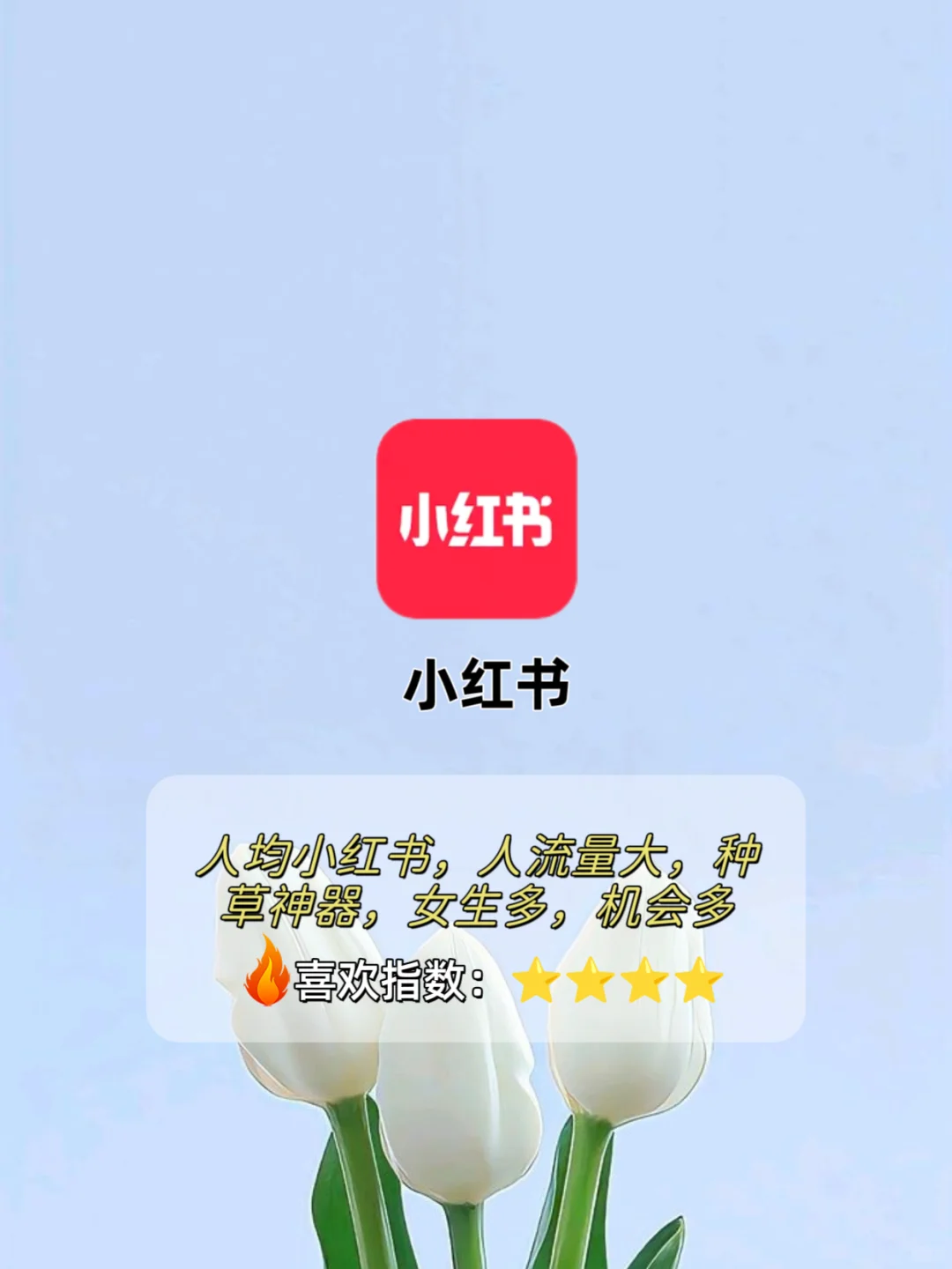 社交软件喜欢指数-海王严选