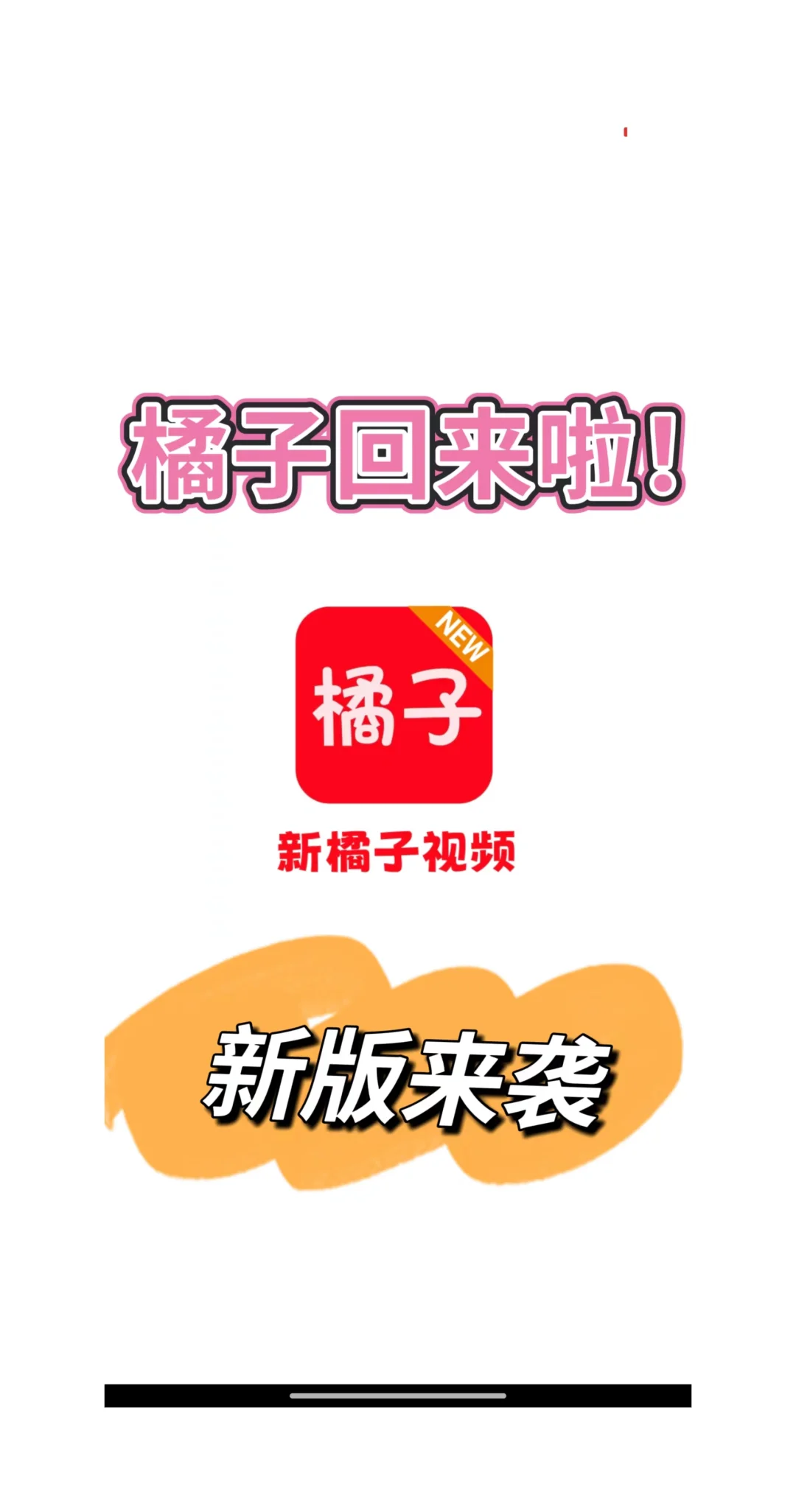 太好了!橘子回来了~