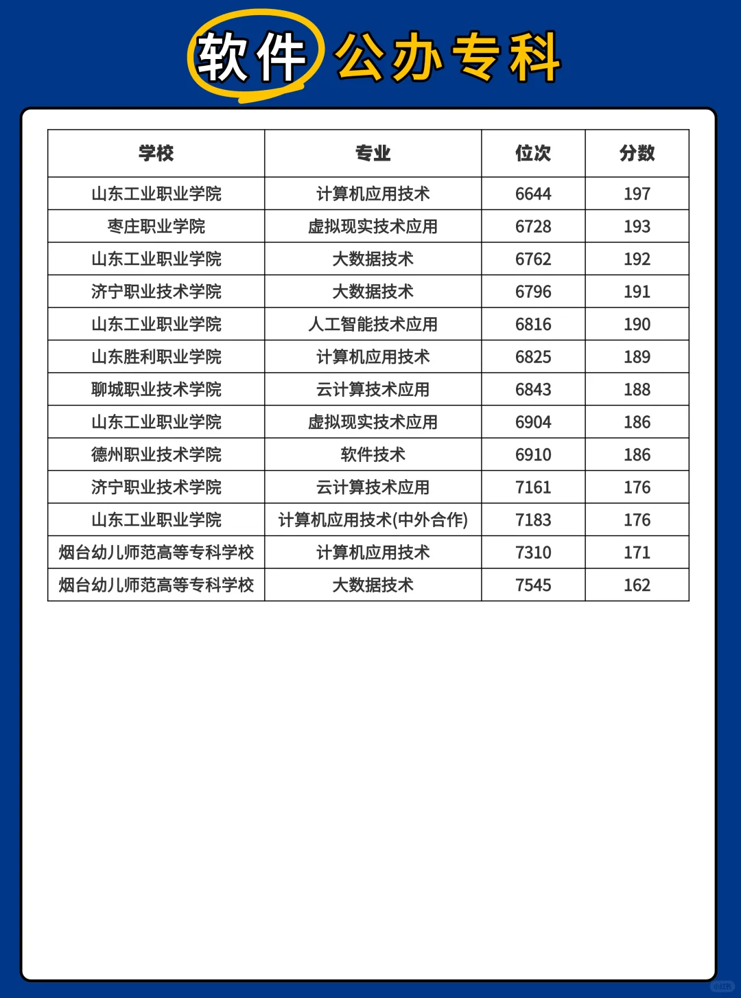 2025山东春考软件大类本专科批次录取最低分