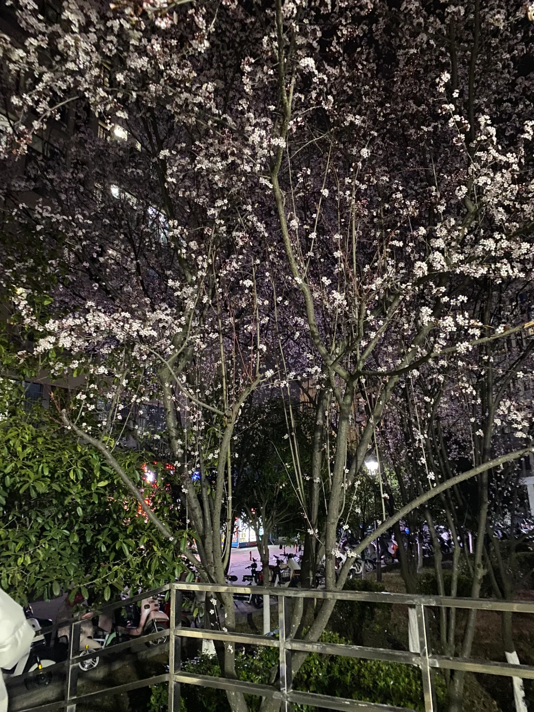 05女大｜做具体的事，努力成为更好的自己！