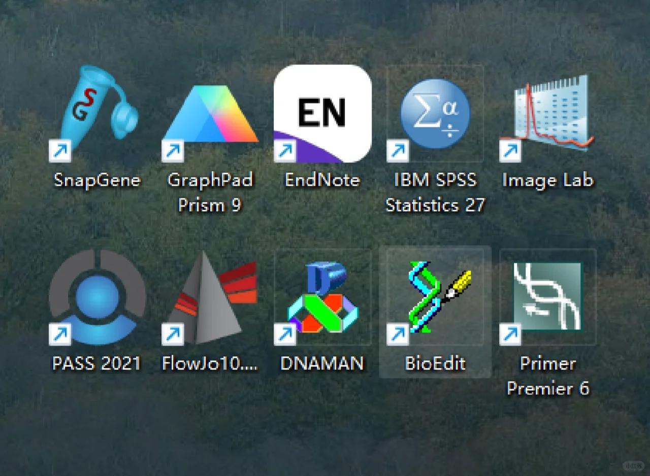 别人是来听课的 我是来下载科研软件的