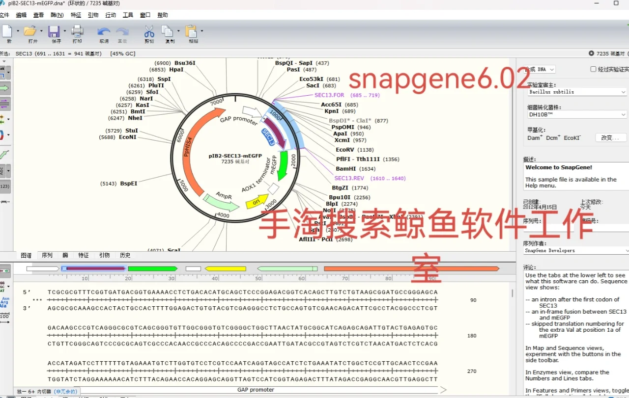 别人是来听课的 我是来下载科研软件的
