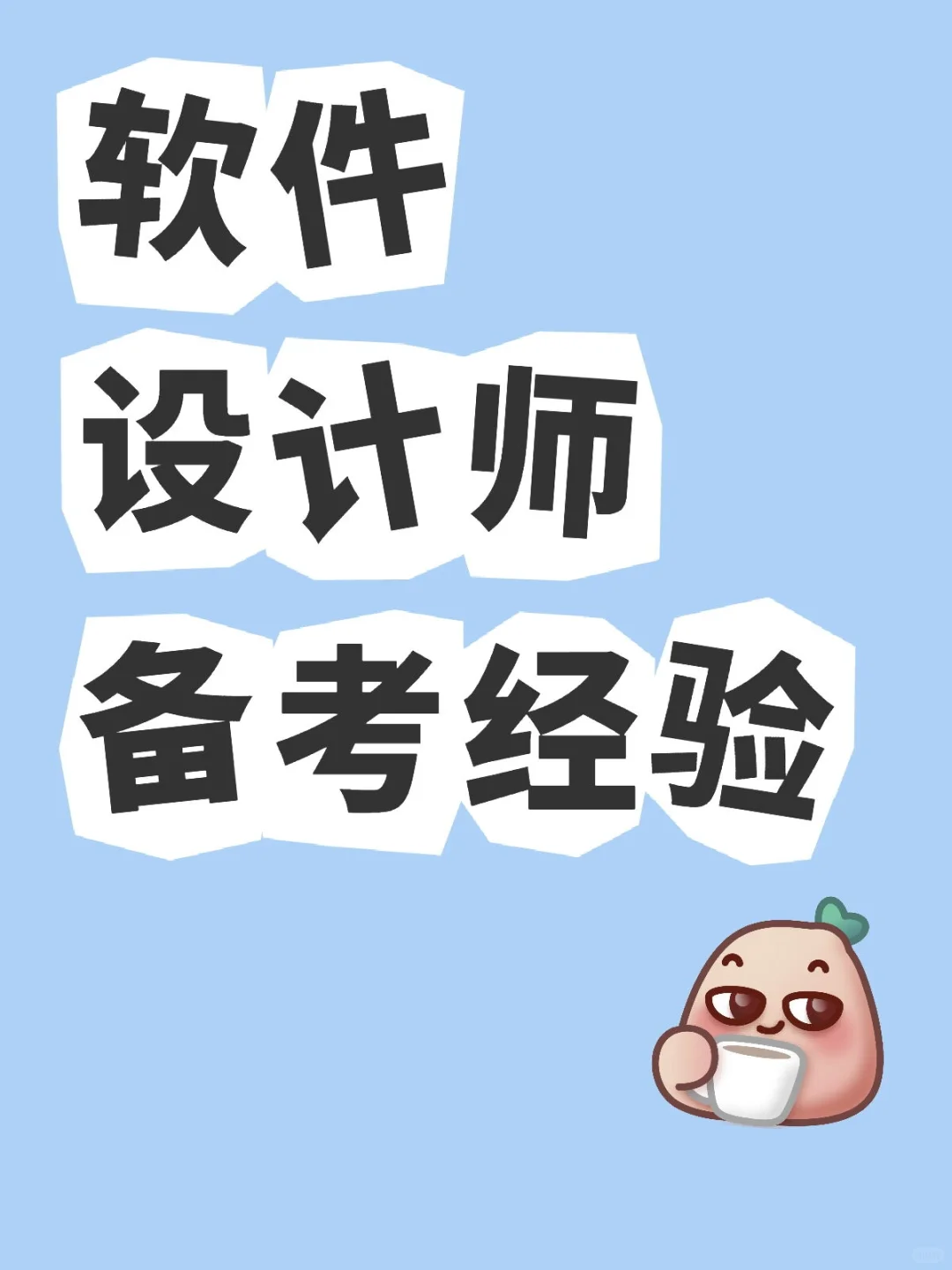 软件设计备考经验