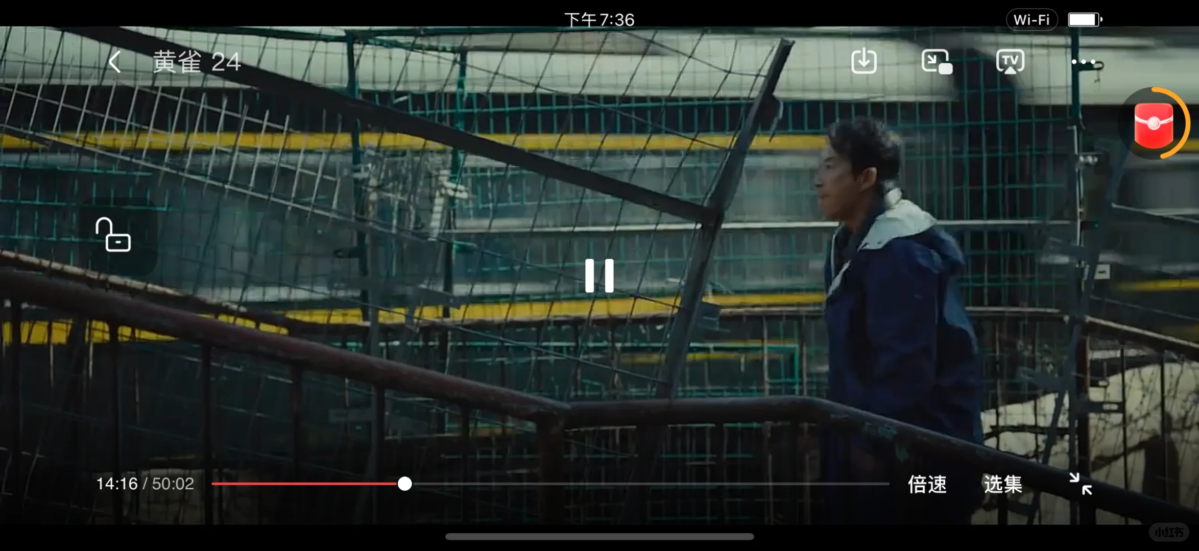 追剧党的福音！