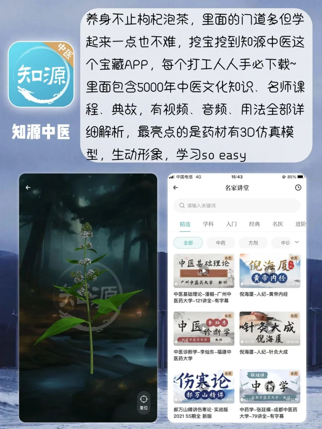 8个超实用中医养身APP⭐ 养身人必备✨