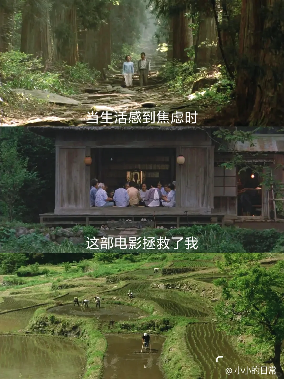 本i人的最爱的人生电影😭没有之一❗❗❗