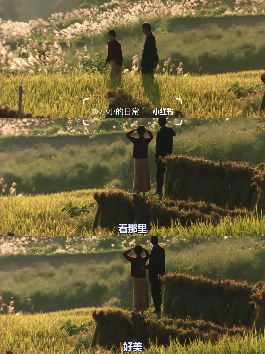 本i人的最爱的人生电影😭没有之一❗❗❗