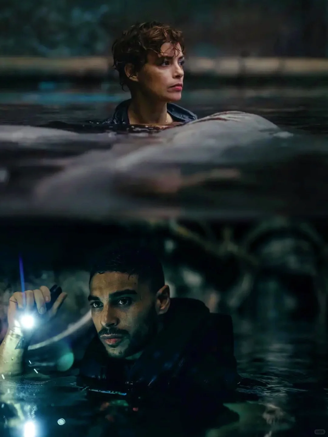 🔥2024鲨鱼灾难片要来啦！夏天必看电影🔥