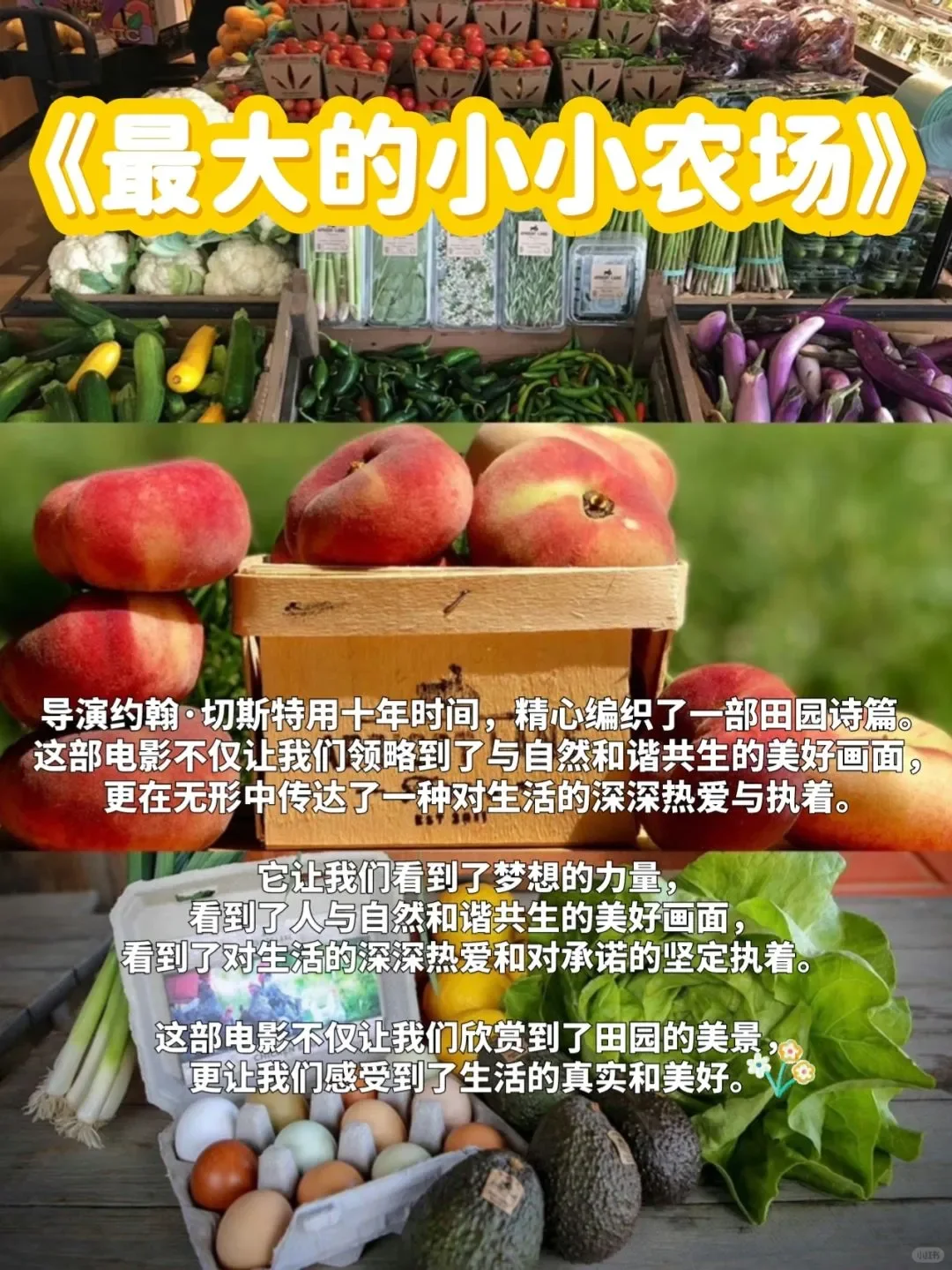 🎬我宣布，这就是我心目中的电影天花板