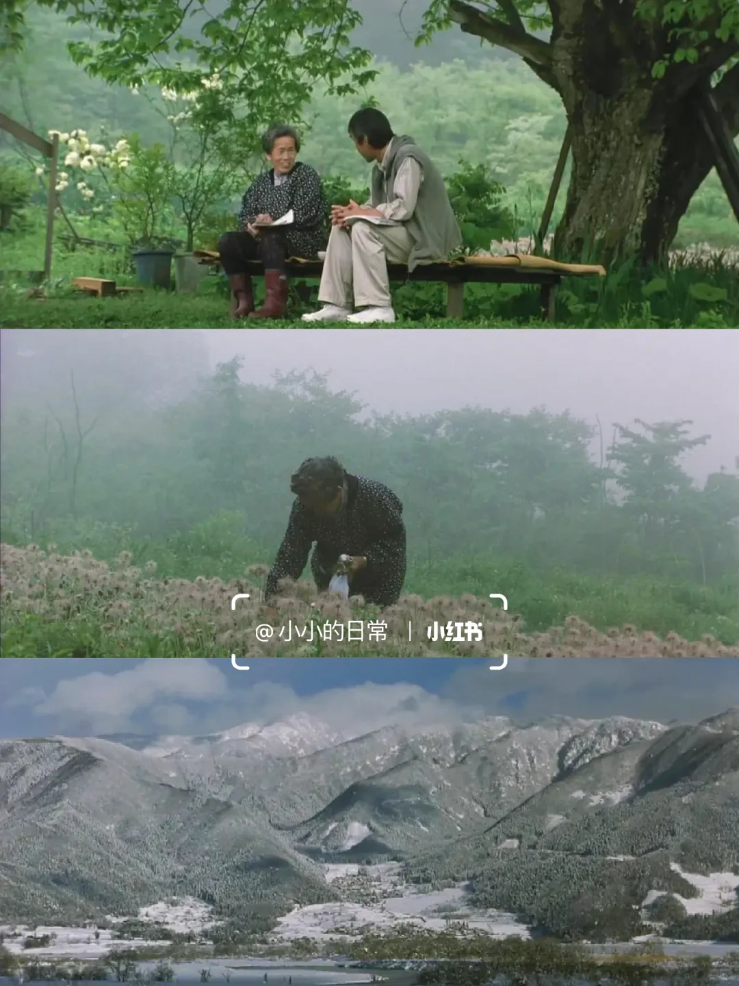 本i人的最爱的人生电影😭没有之一❗❗❗