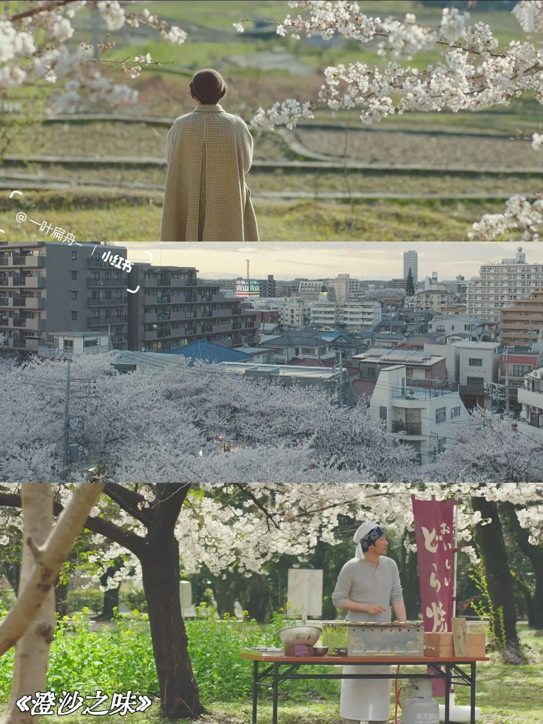 画风爆美💥适合春天看的8部高分治愈电影‼️