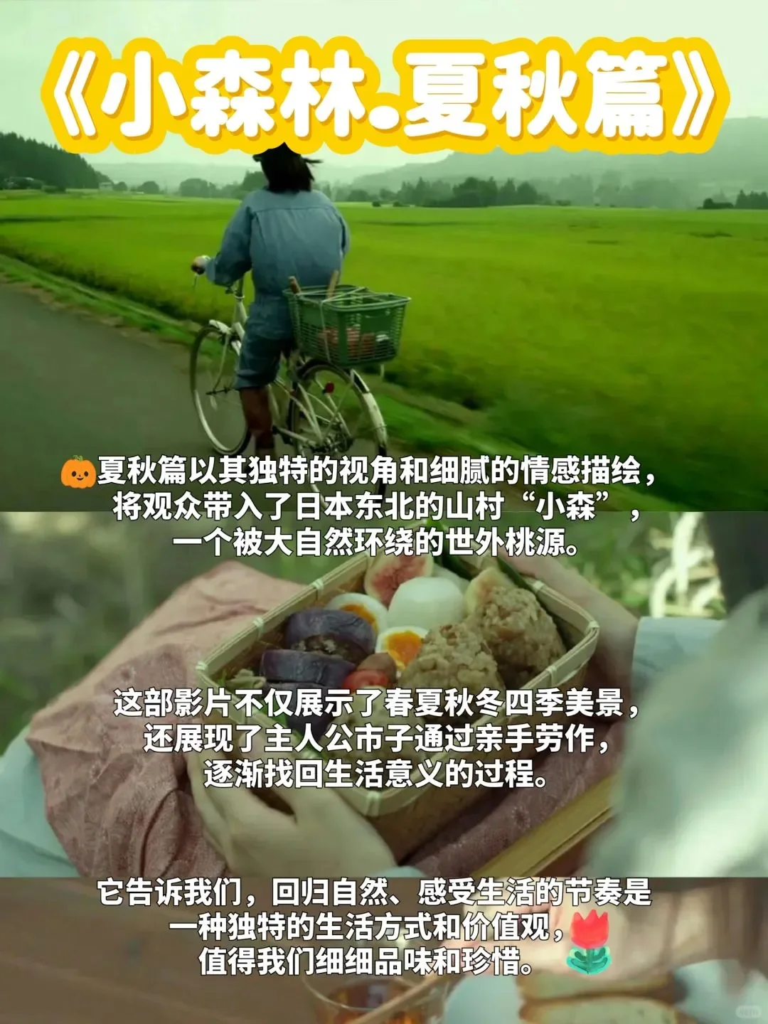 🎬我宣布，这就是我心目中的电影天花板