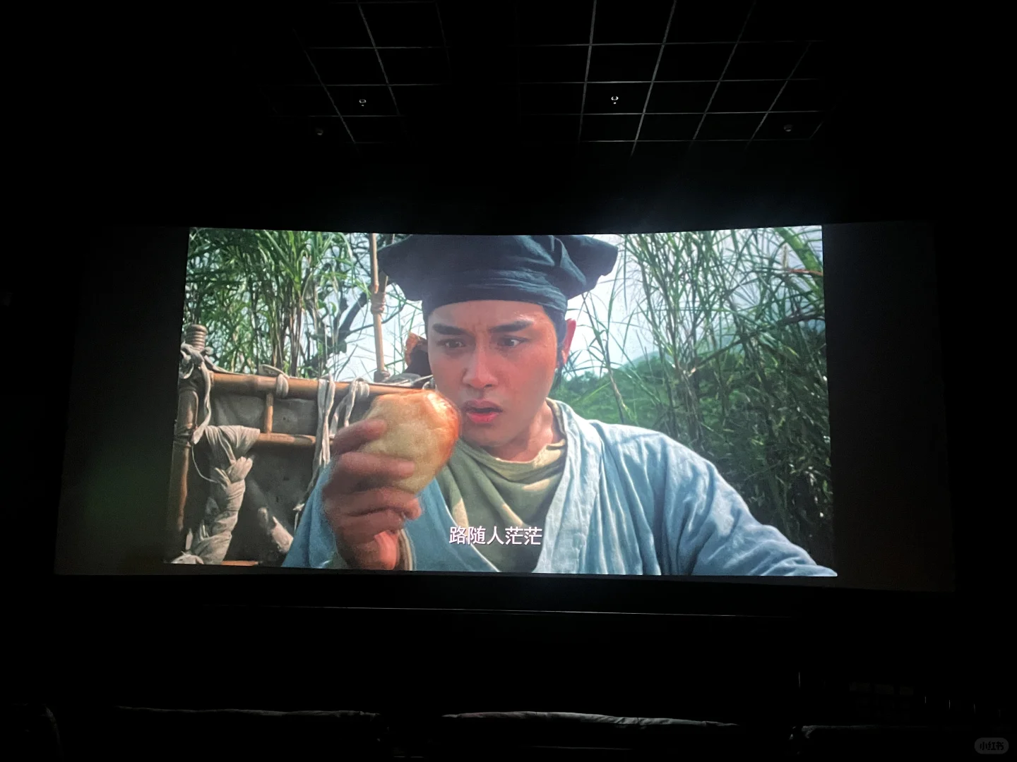 致敬经典，致敬青春