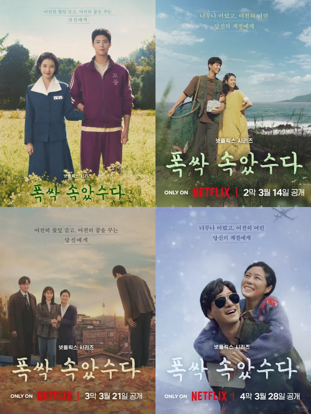 Netflix每周全球收视冠军盘点-2025年3月