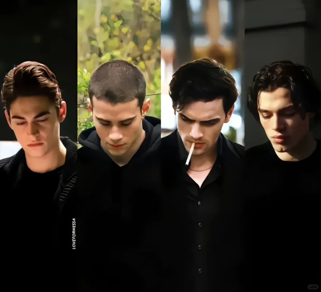 全部看过的举手