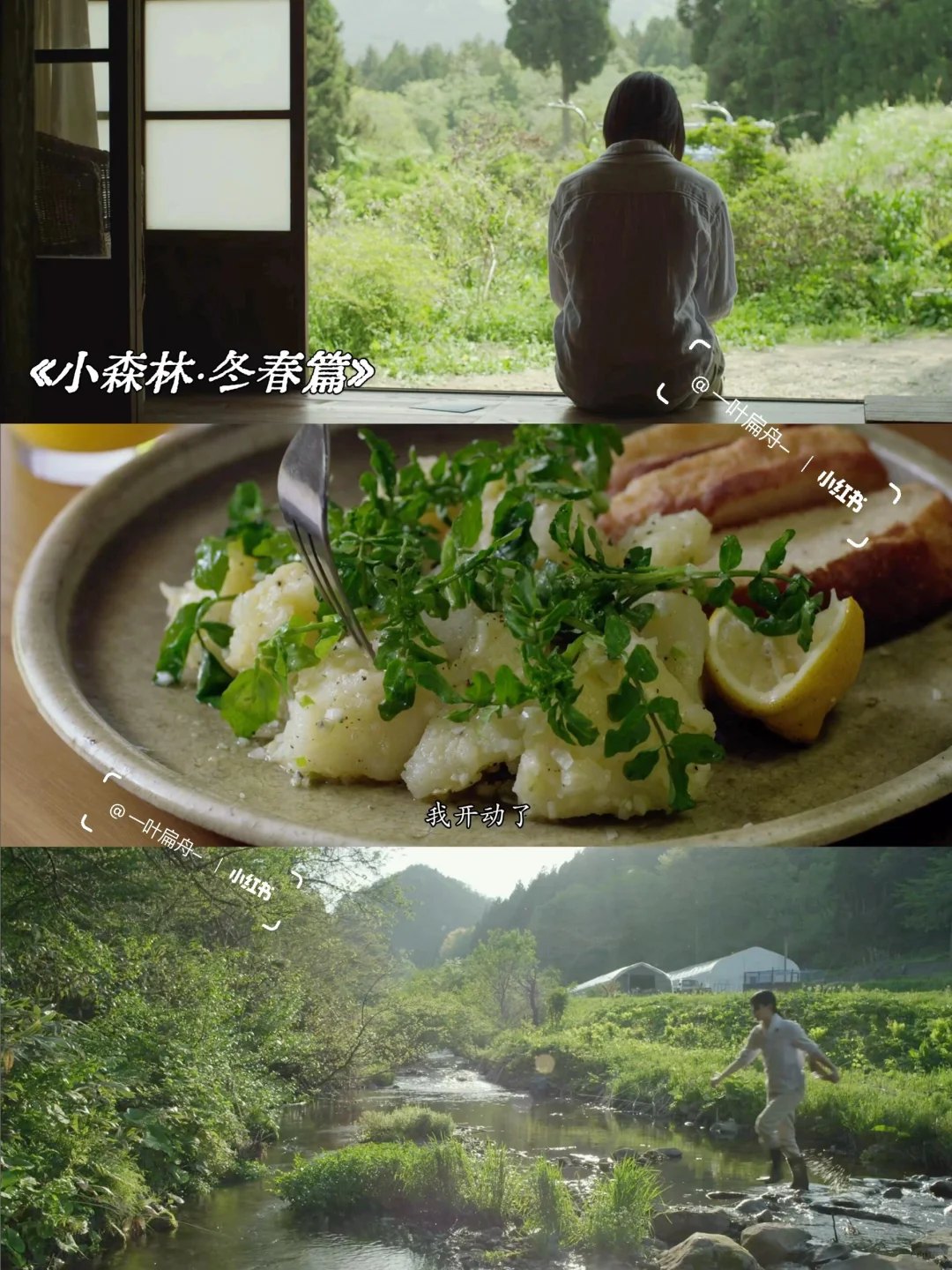 画风爆美💥适合春天看的8部高分治愈电影‼️