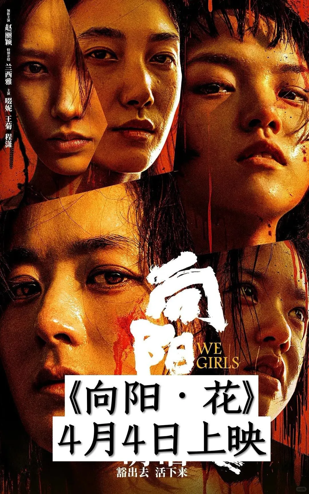 谁说没有好电影的？清明档电影来了来了!