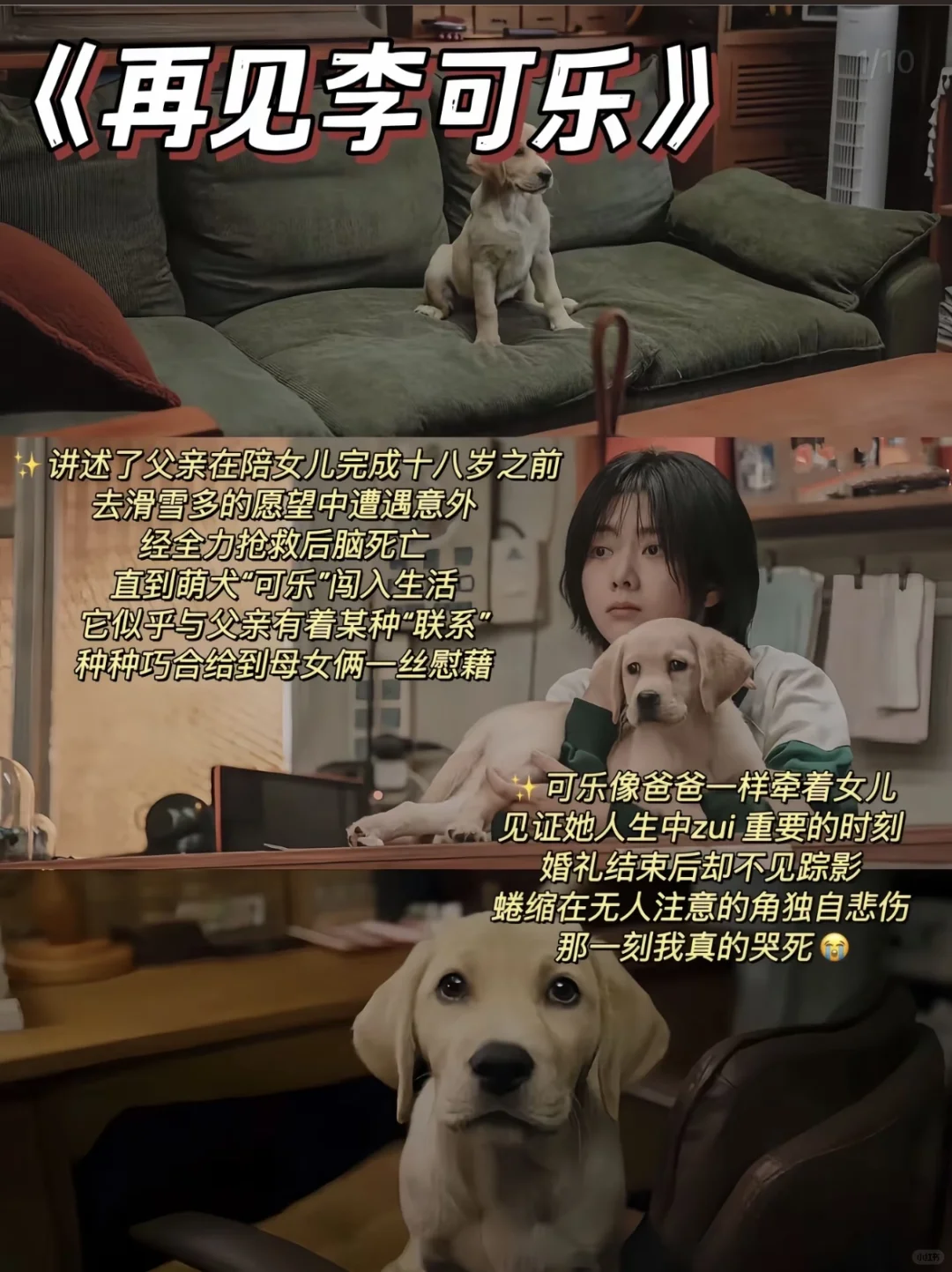 虐哭无数人的8部电影