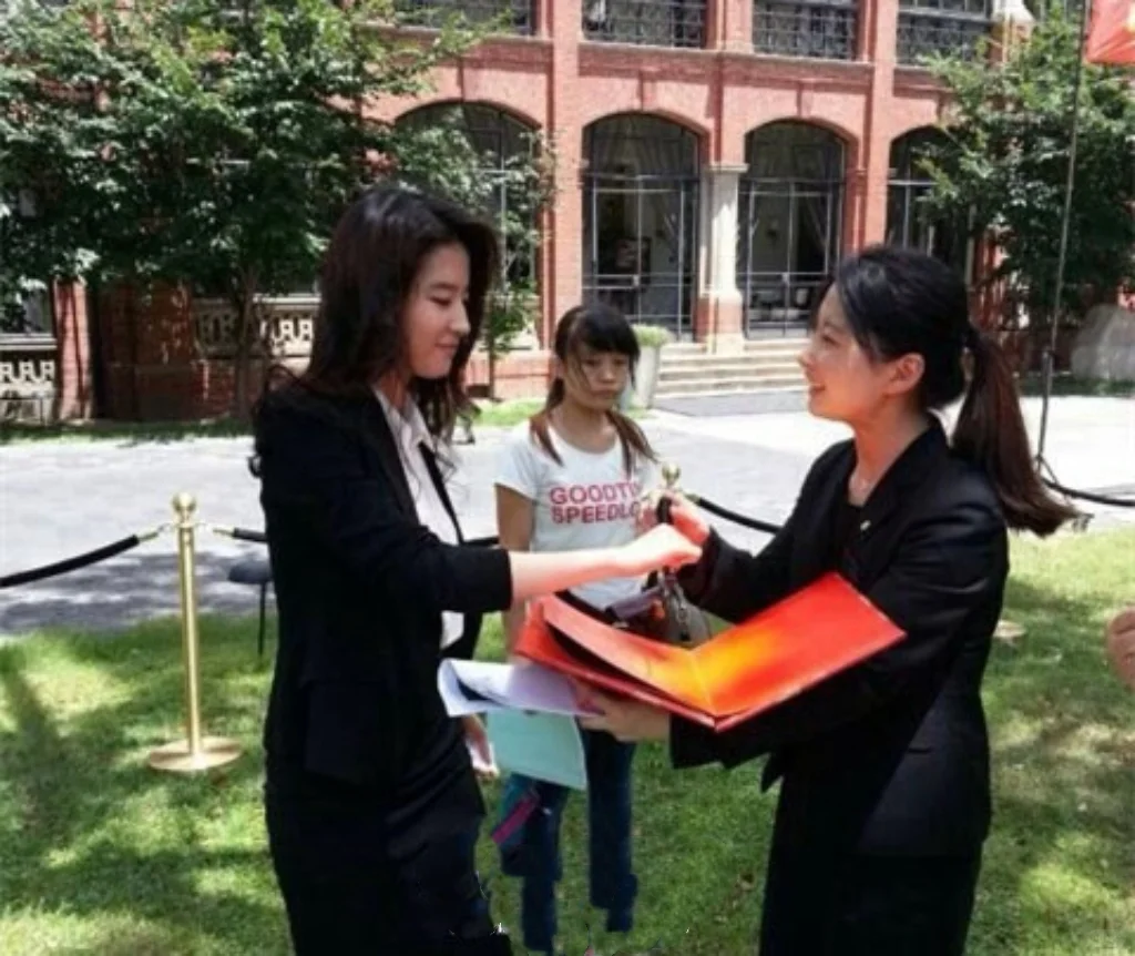 合理怀疑这部电影是刘亦菲的美貌纪录片