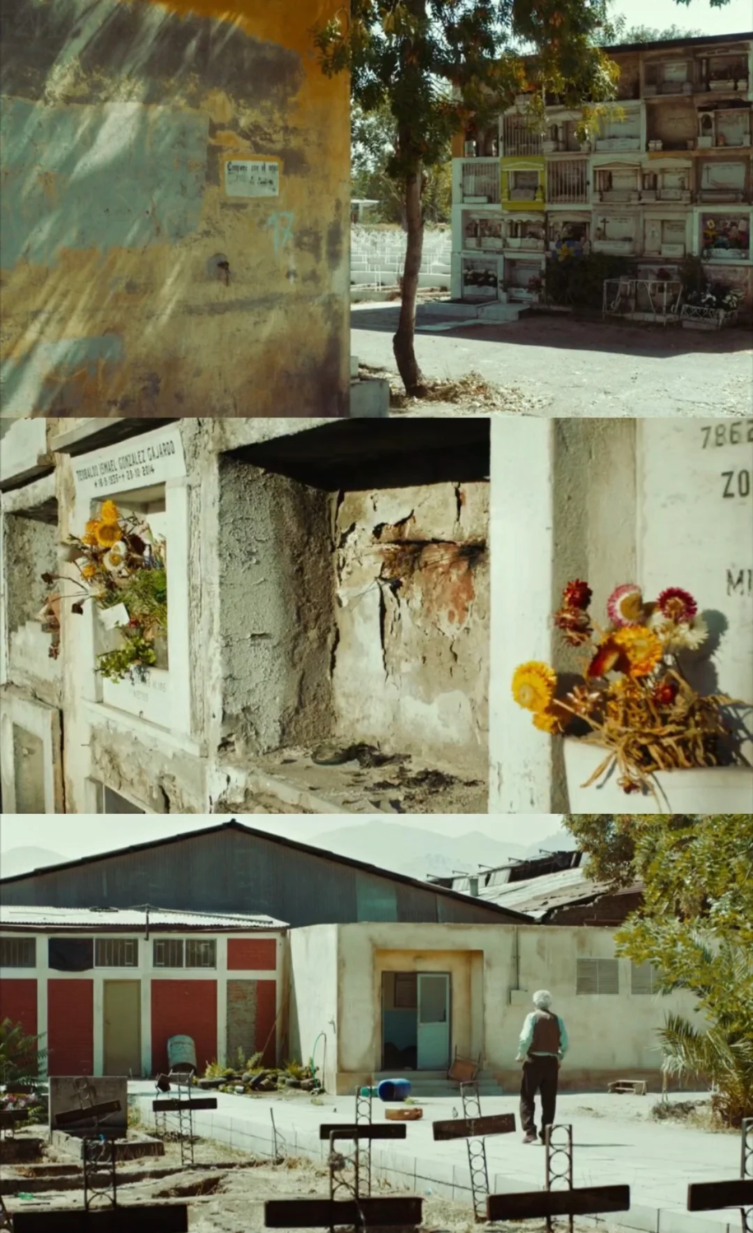 深夜电影，哭到决堤😭