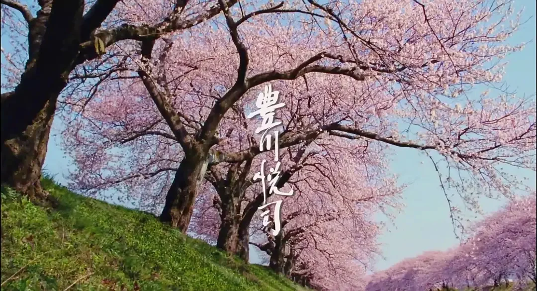 两部春天的治愈系电影《背负春天》