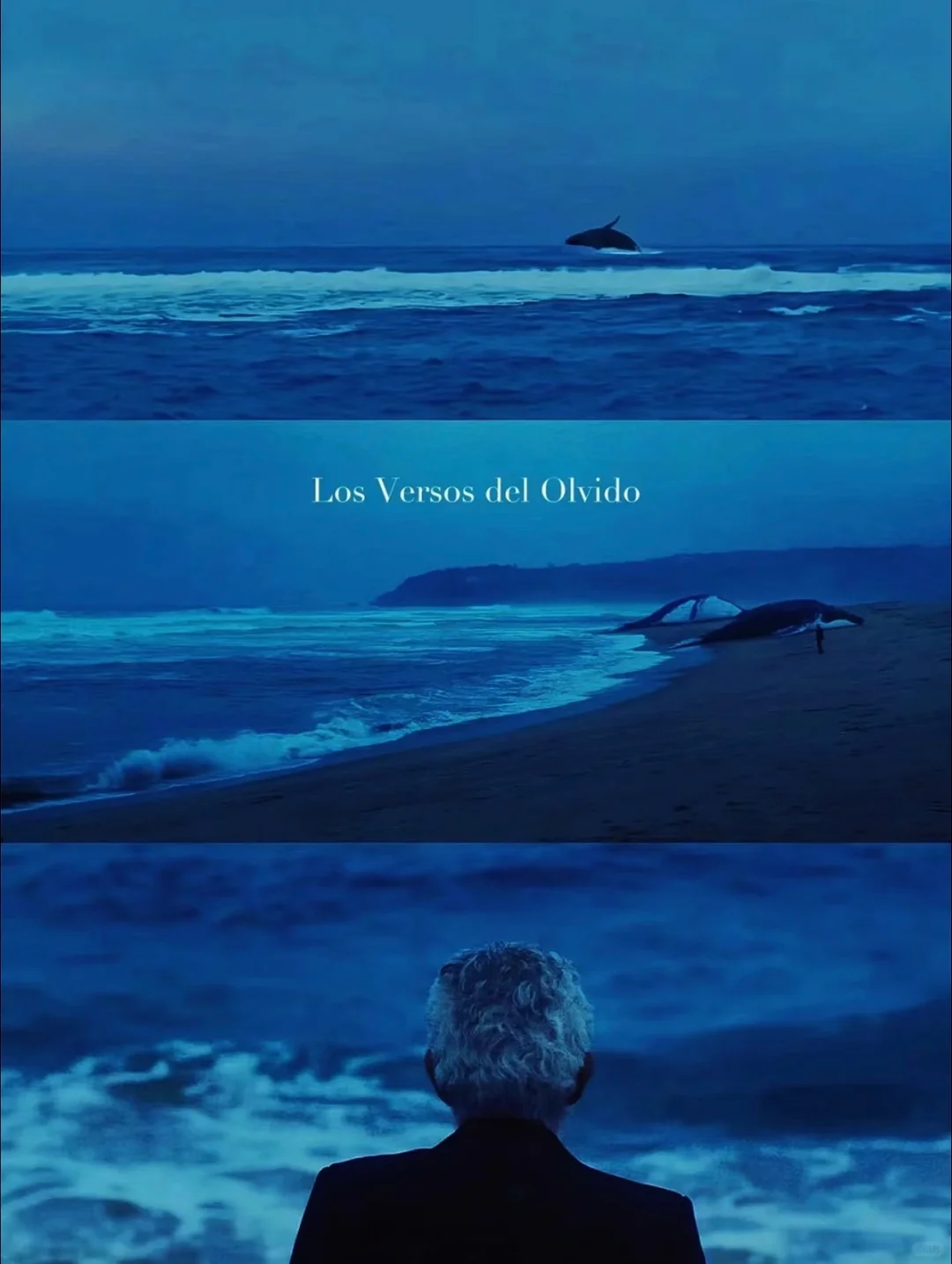 深夜电影，哭到决堤😭