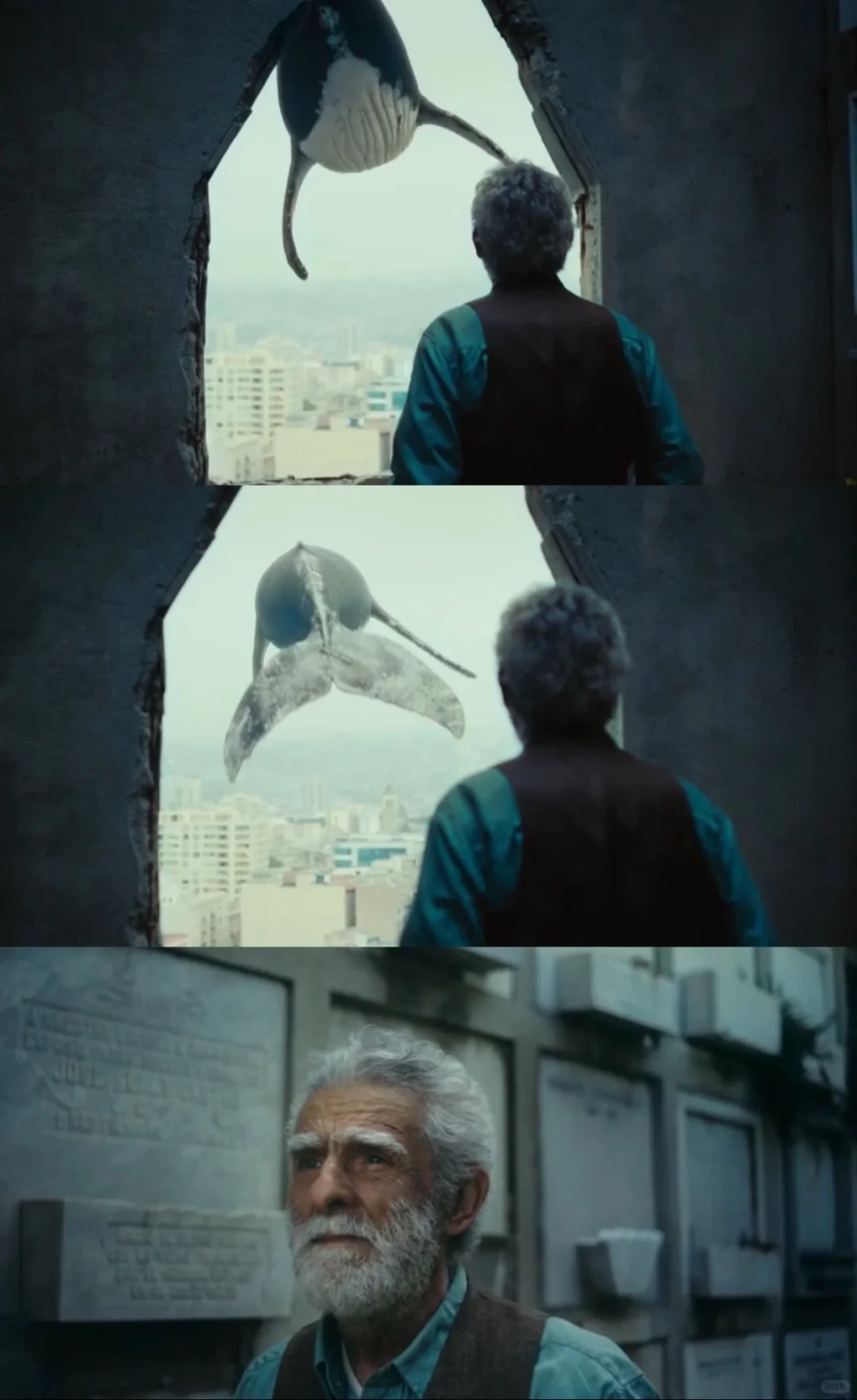 深夜电影，哭到决堤😭