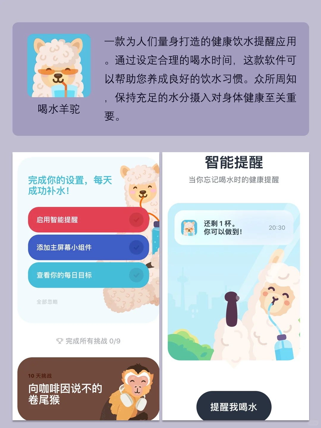 拒绝人生荒废吗，这6个APP一定要用