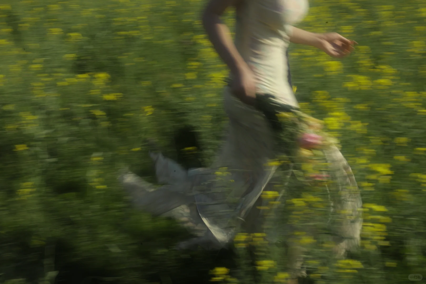 把油菜花拍出高级电影感｜春日氛围感封神了！