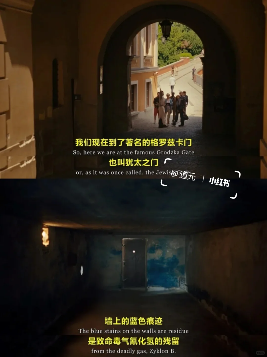 😭近期看过最好哭电影❗如何戒断痛苦❗️