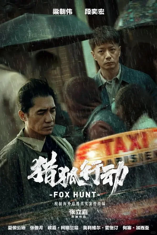 174亿惊天骗局《猎狐行动》，梁朝伟演反派