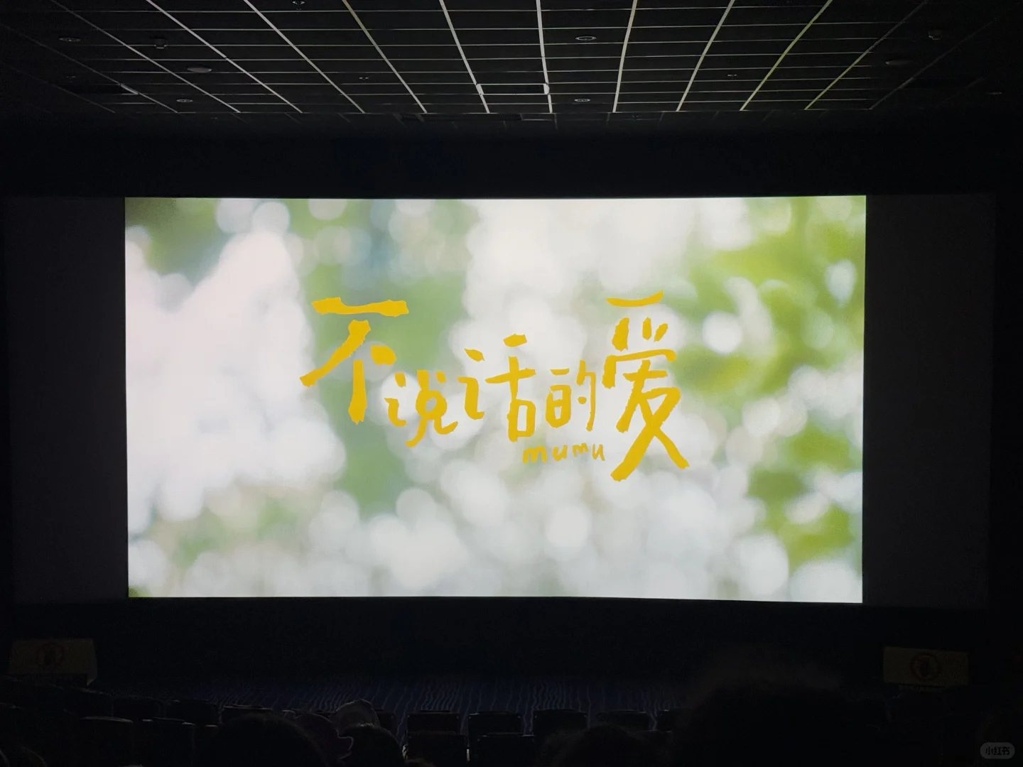 电影《不说话的爱》观后感💕