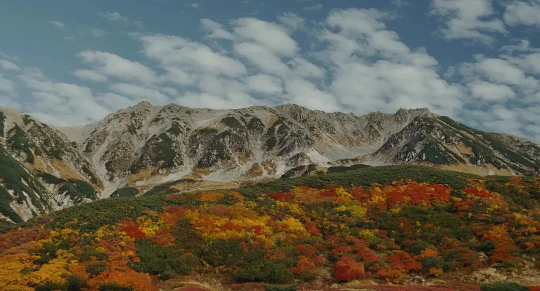 两部春天的治愈系电影《背负春天》