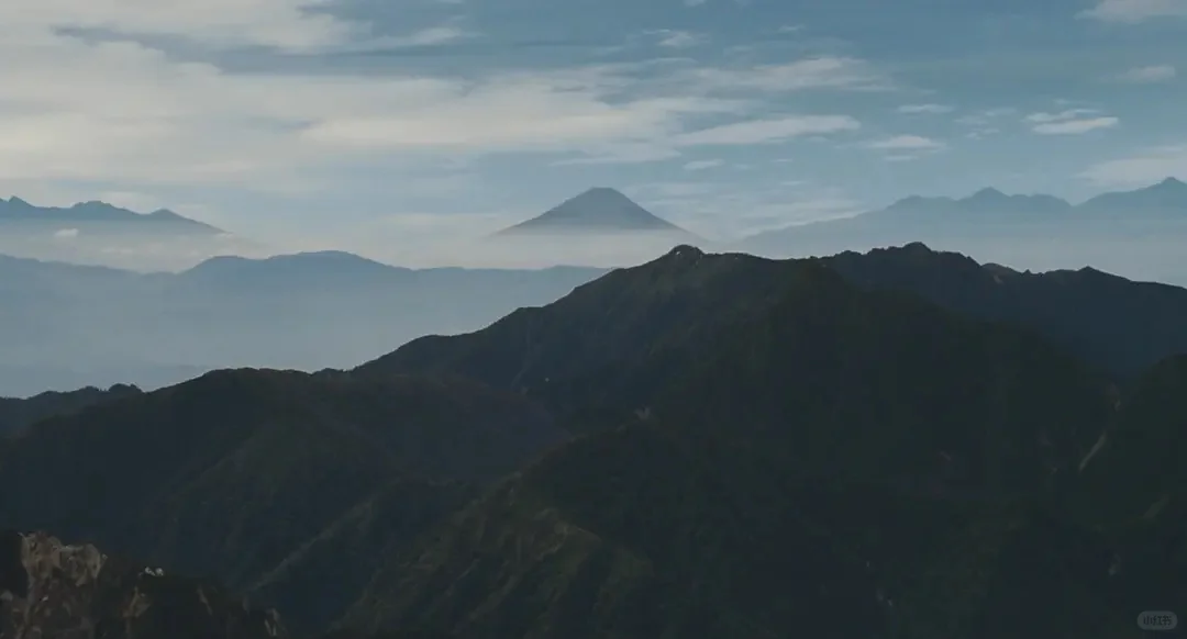 两部春天的治愈系电影《背负春天》