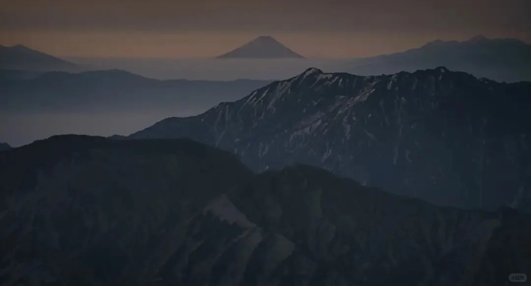 两部春天的治愈系电影《背负春天》