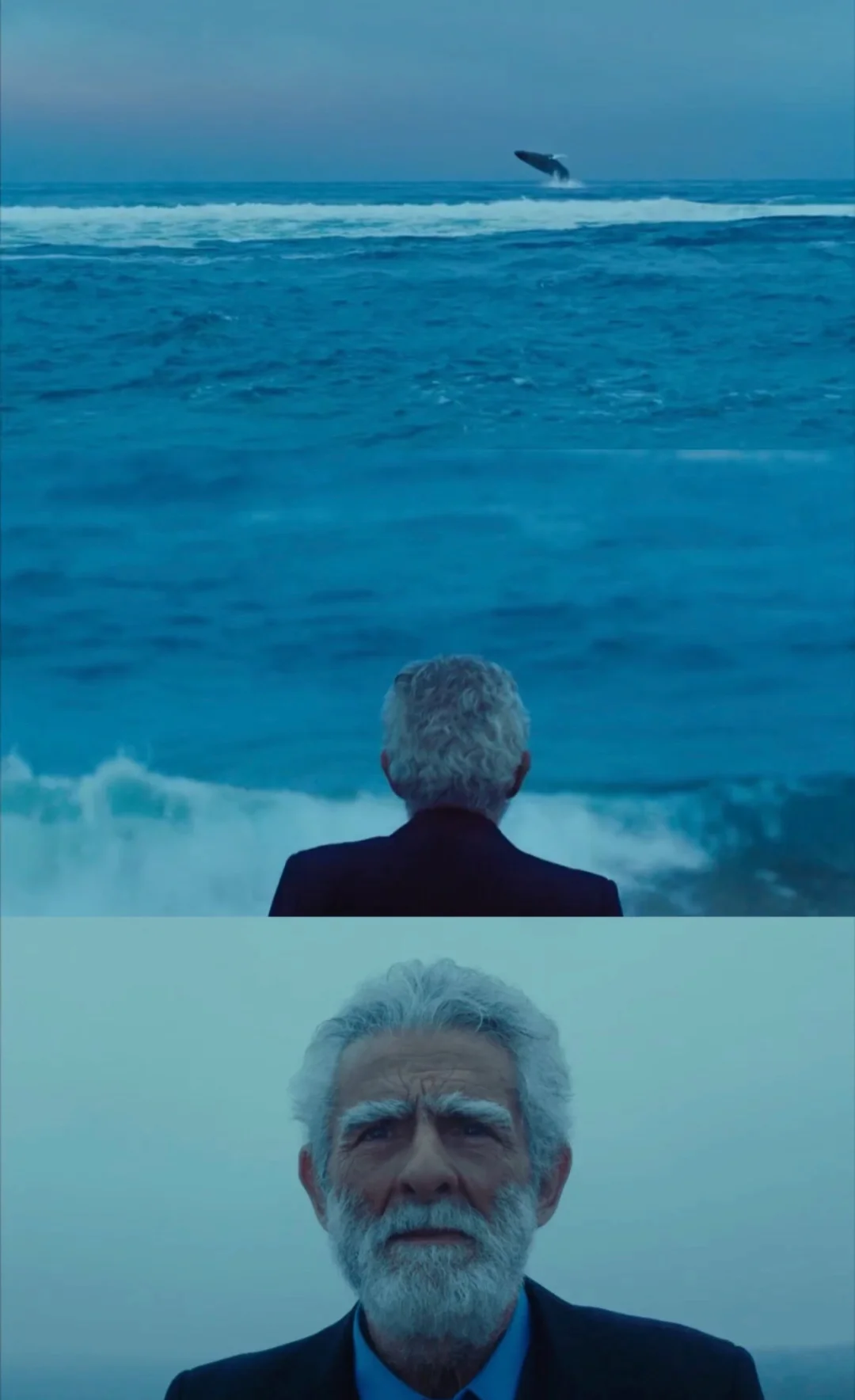 深夜电影，哭到决堤😭