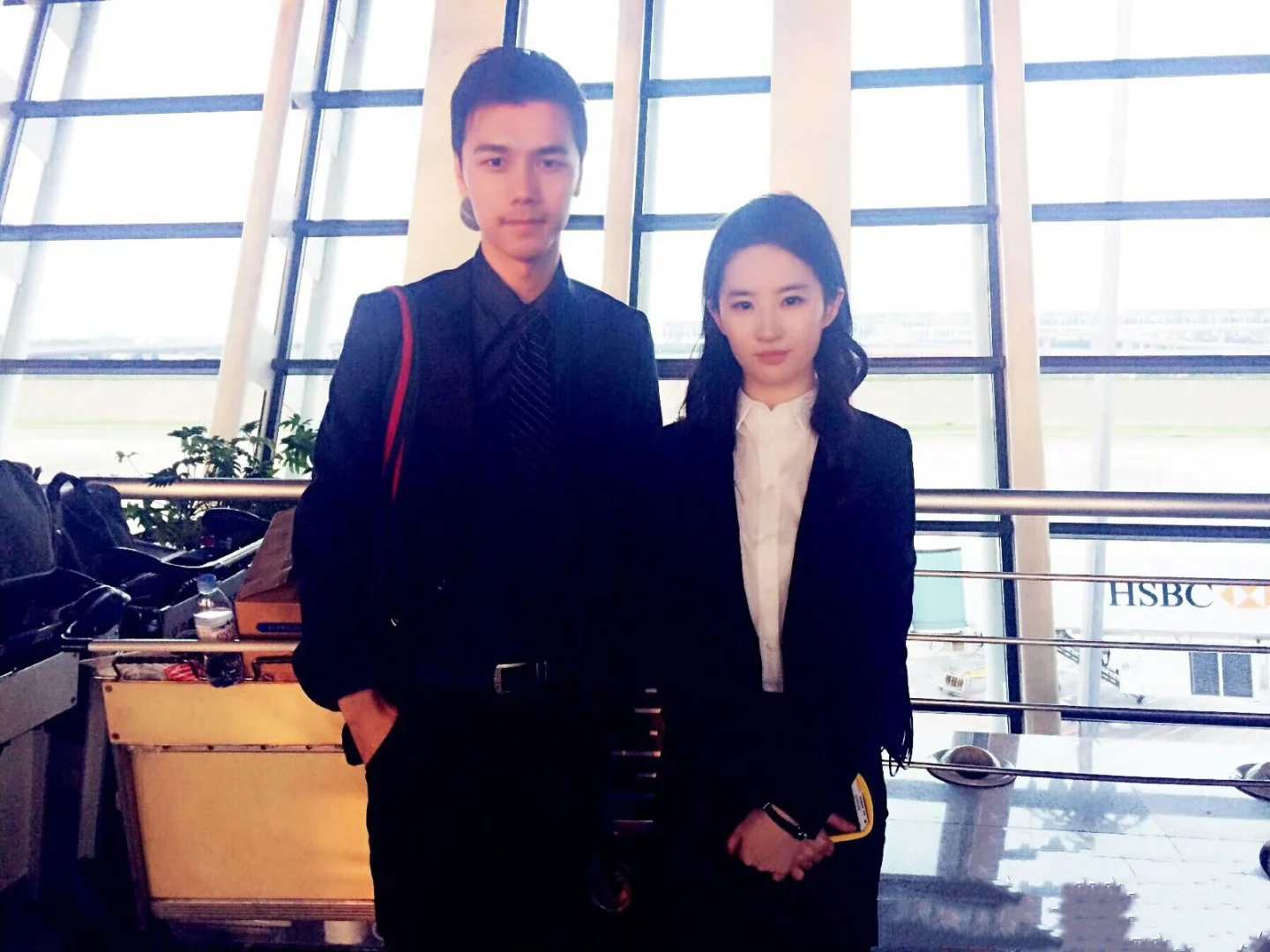 合理怀疑这部电影是刘亦菲的美貌纪录片