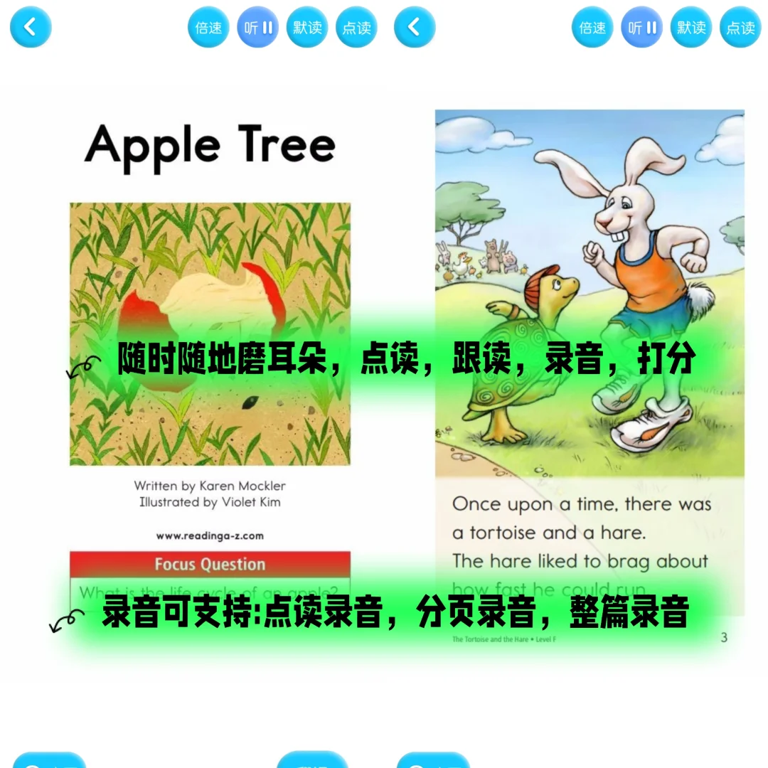 英语学习，有这一个App就够了