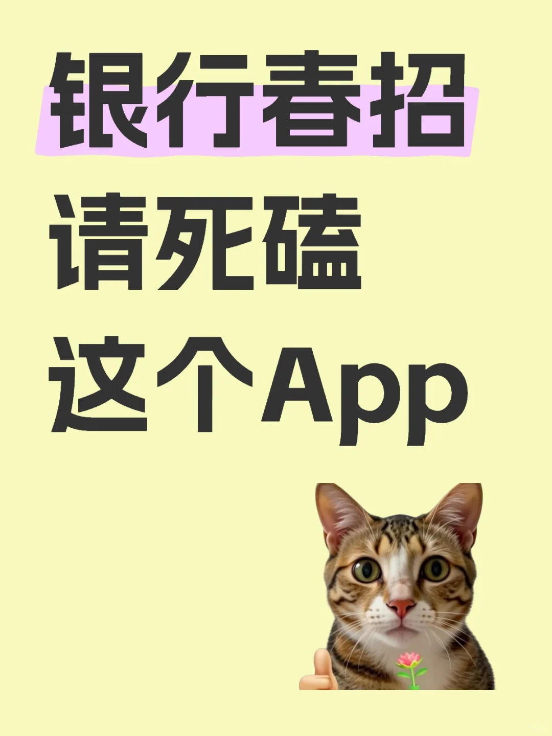 25银行春招|卷王都在偷偷用的App💥