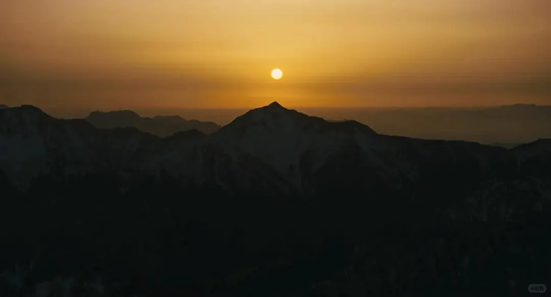 两部春天的治愈系电影《背负春天》