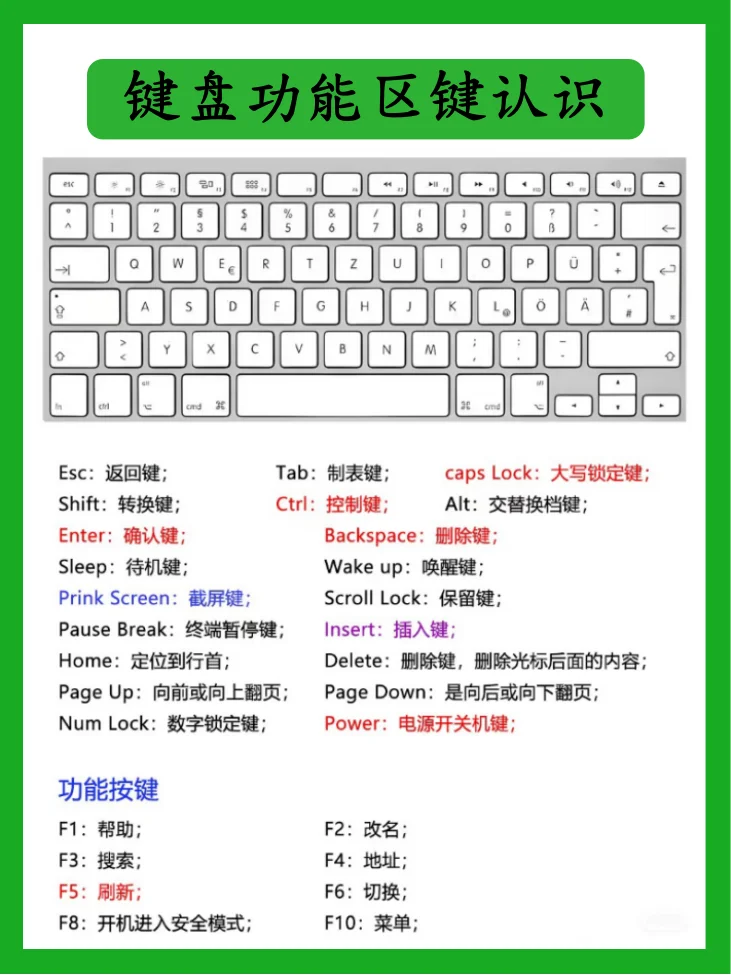 哭了😭怎么没人告诉我Excel得这么学！