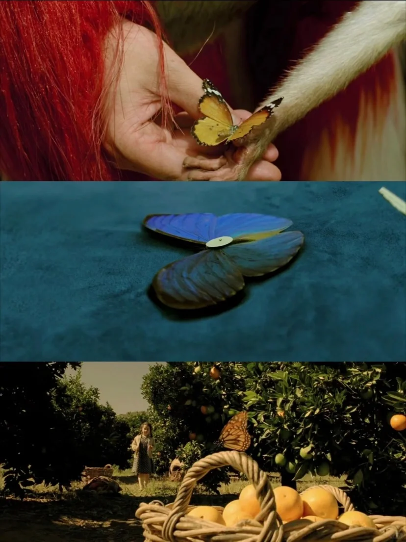 天啊❗我看了一部神片❗这才是造梦的艺术‼️