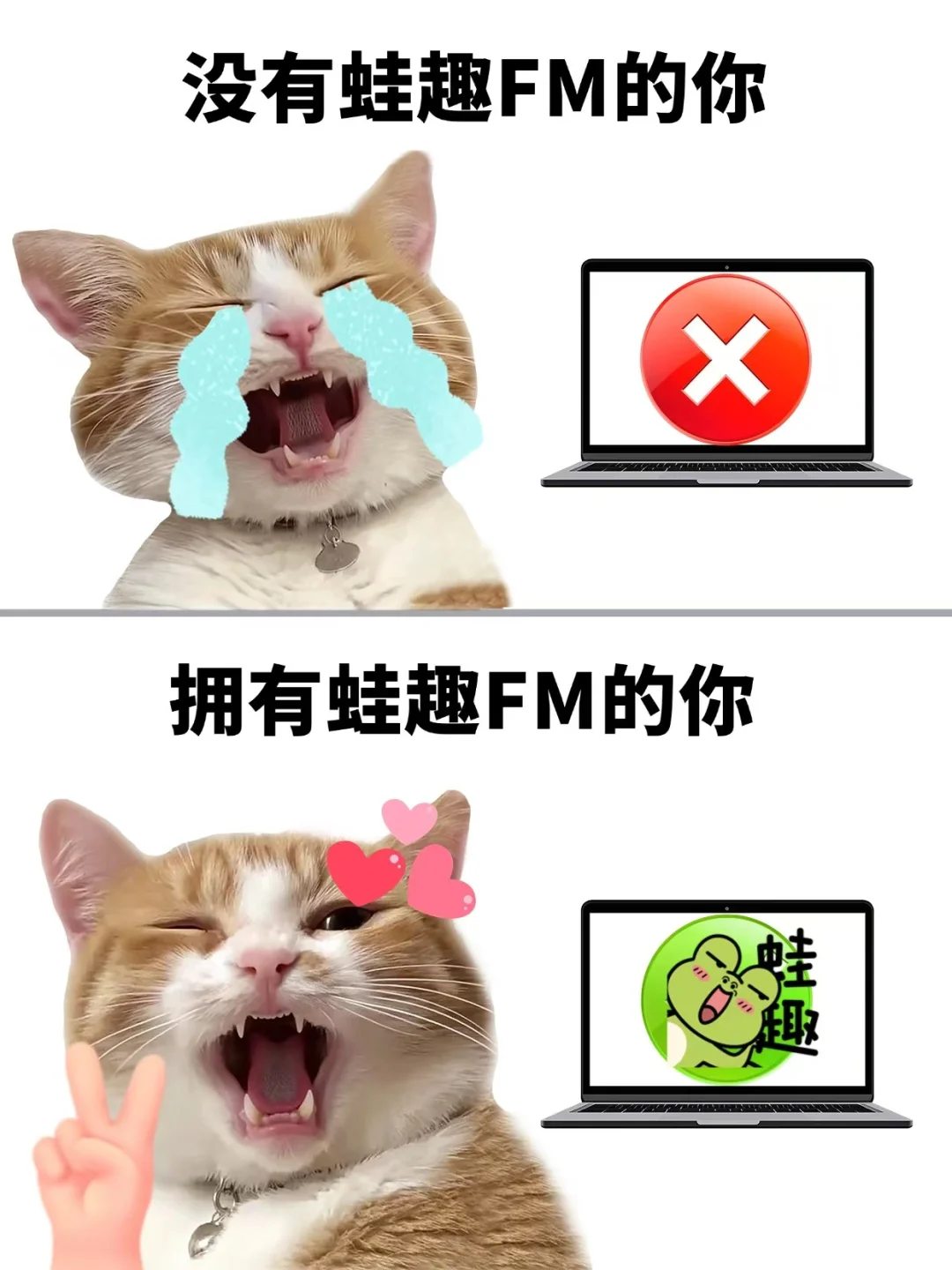 宝藏app原耽姐妹快载块载