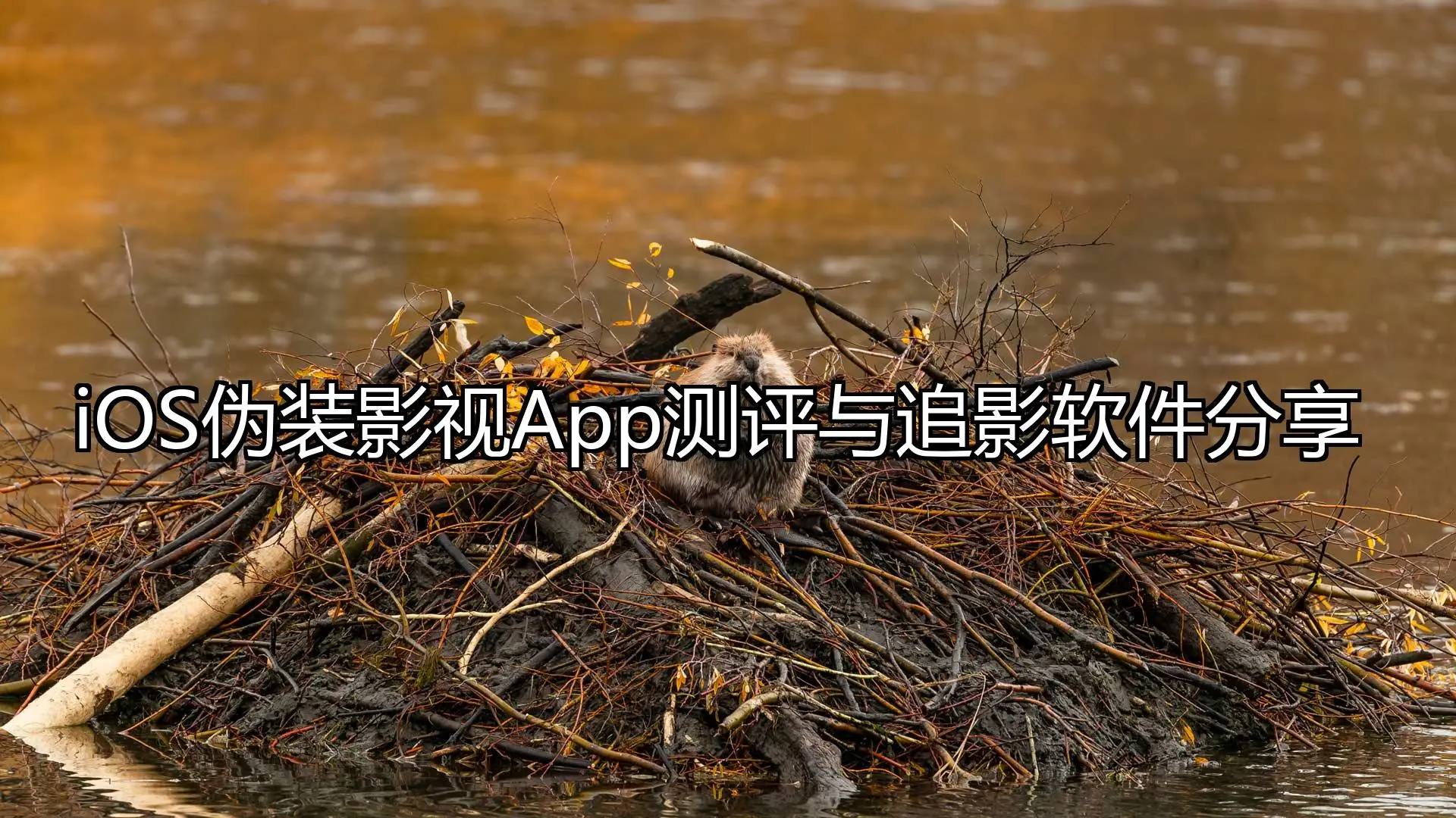 iOS伪装影视App测评与追影软件分享