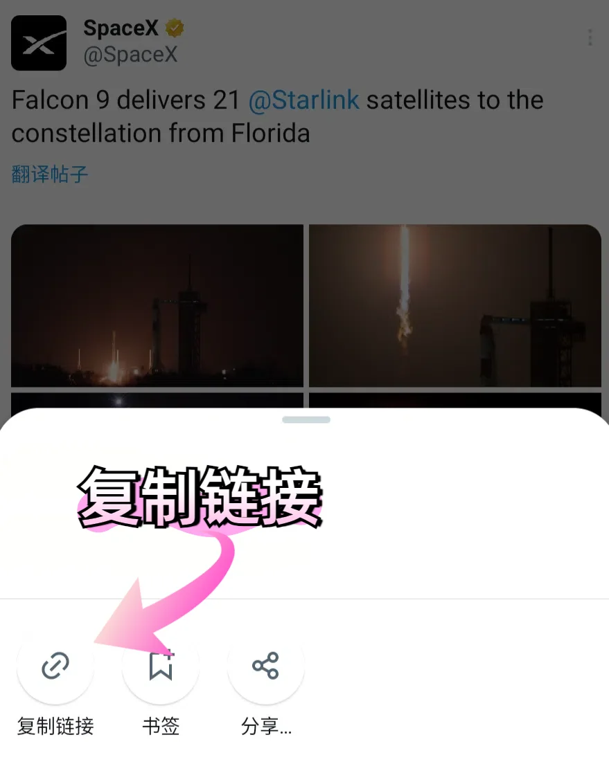 🔥教程分享 免费下载推特视频