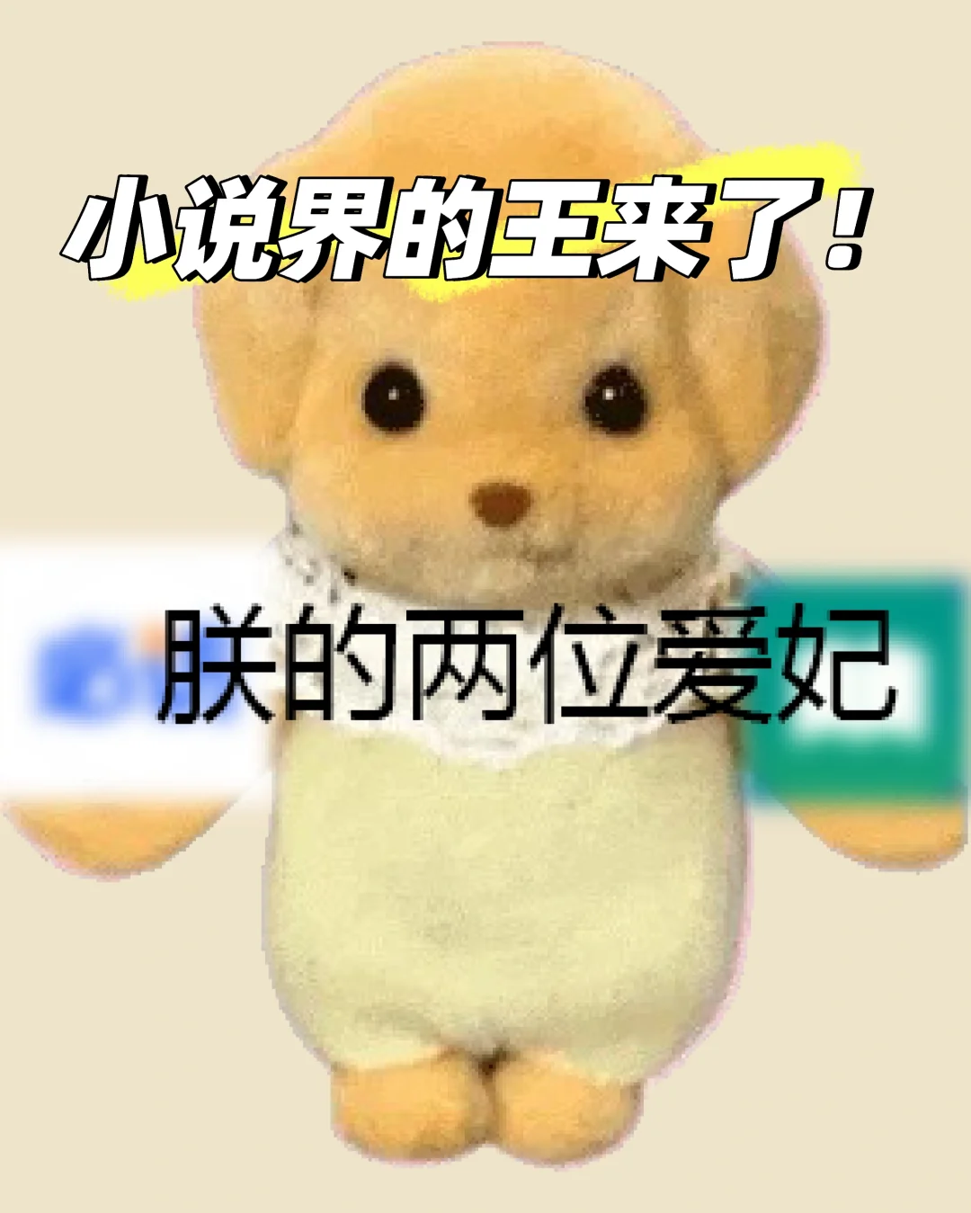 亲测了很多看书APP，挑出两款免费好用的APP