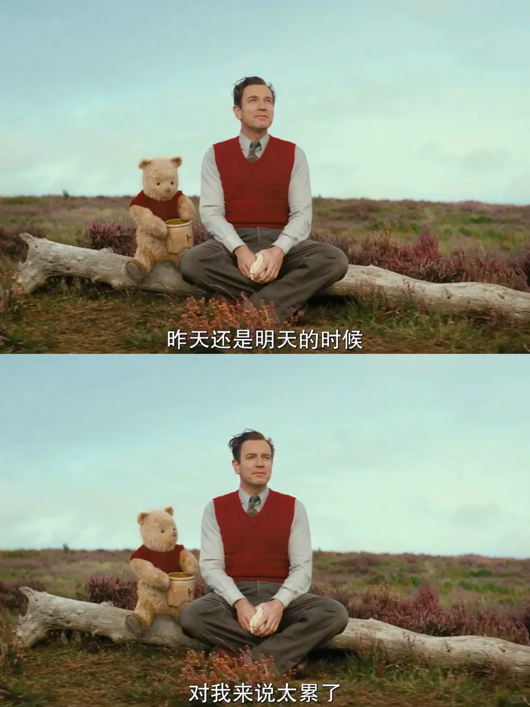 我要吹爆这部电影😭